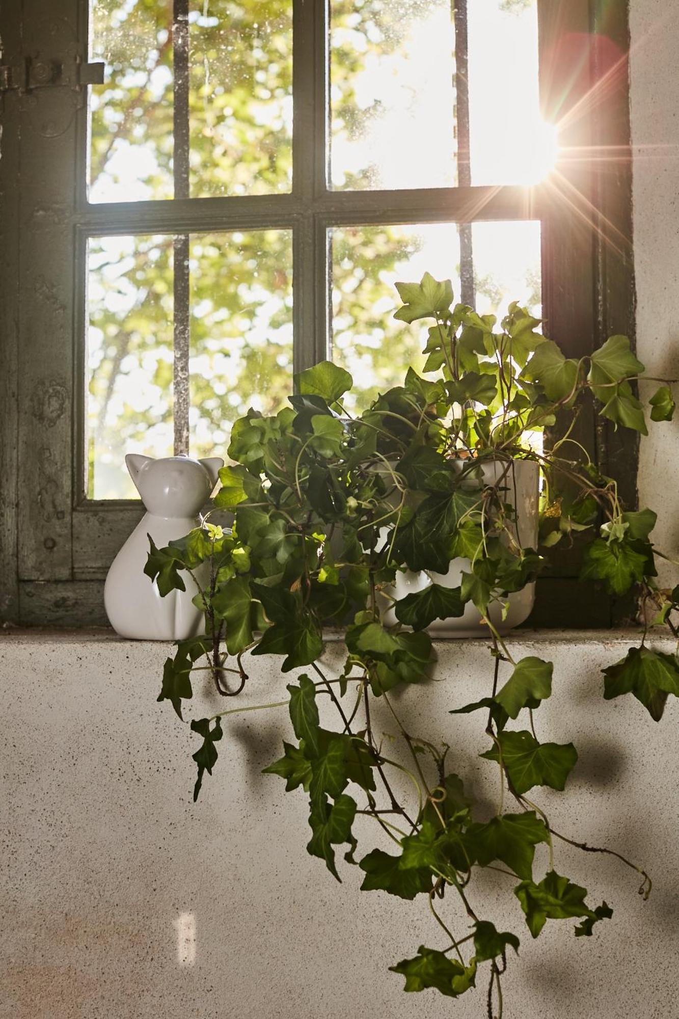Fontclaire En Provence Bed & Breakfast Uchaux Exterior foto