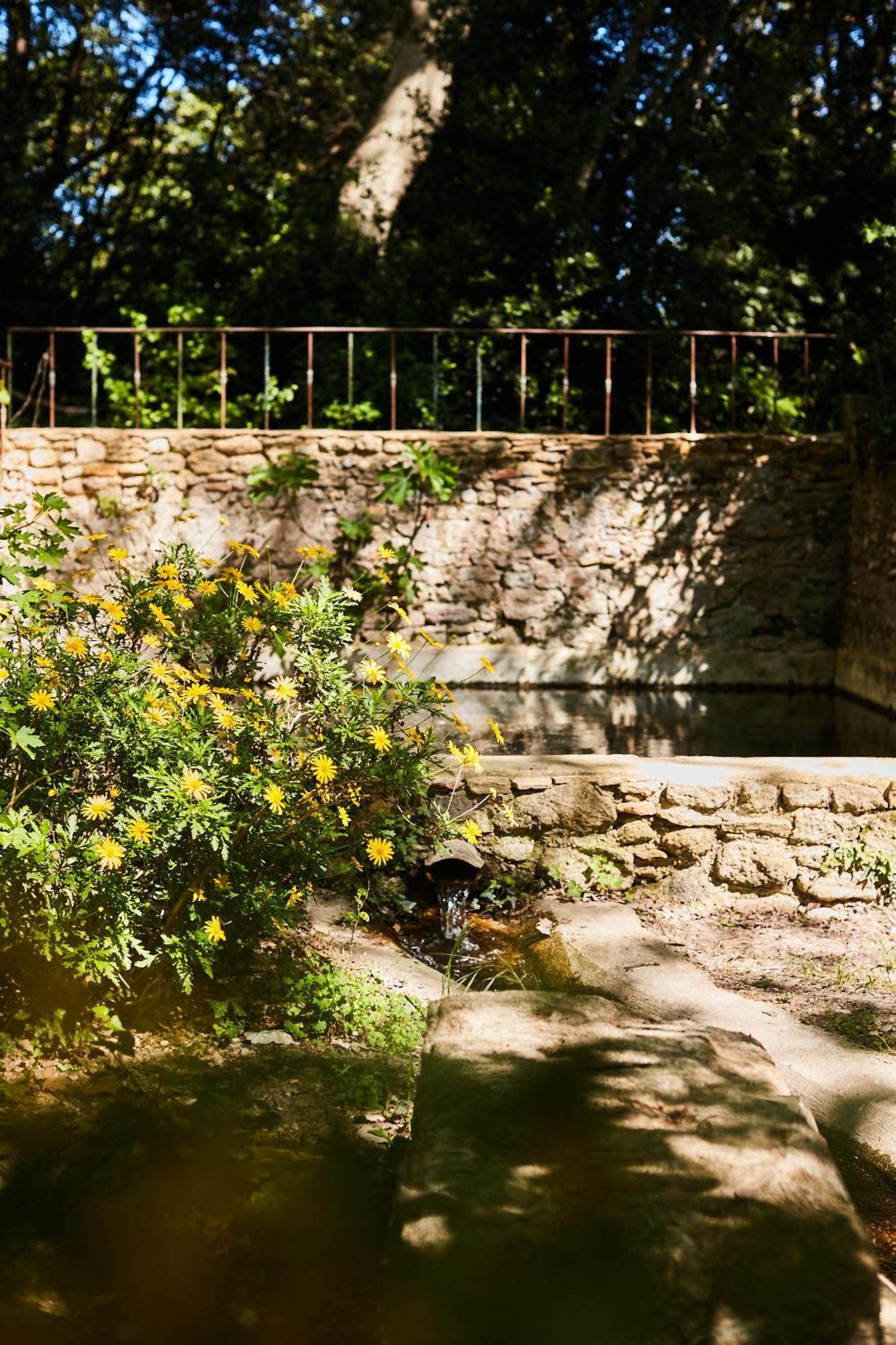 Fontclaire En Provence Bed & Breakfast Uchaux Exterior foto